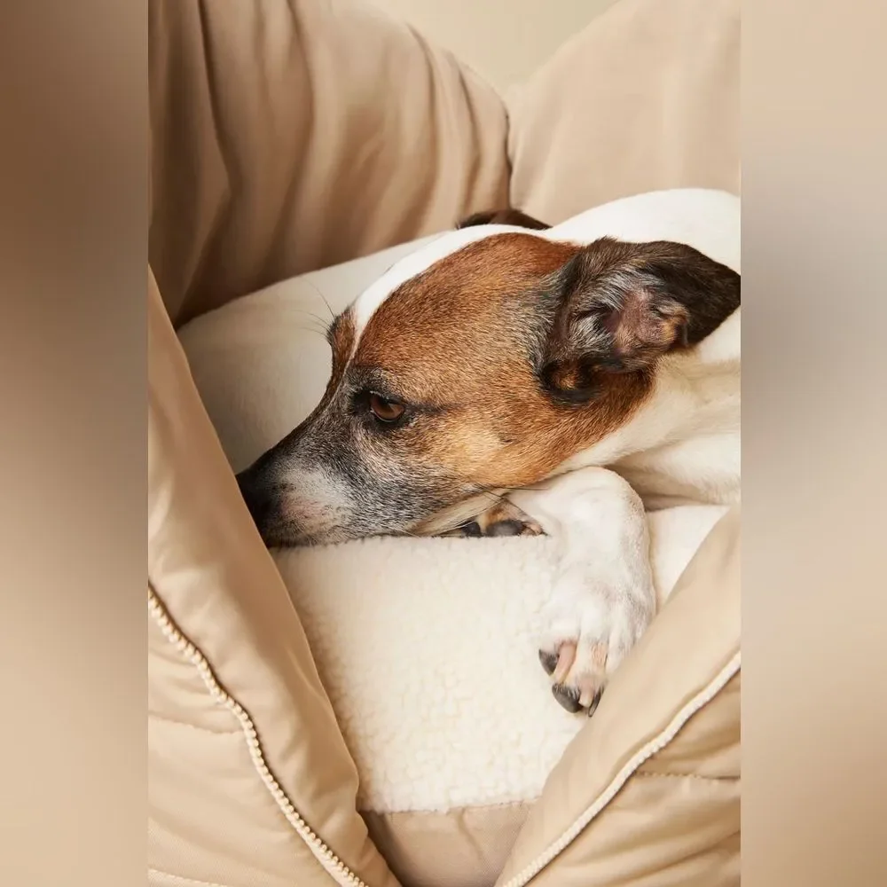Anthropologie Cream Dog Carrier